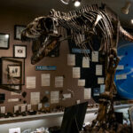 Sesula Mineral & Gem Museum