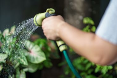 water services