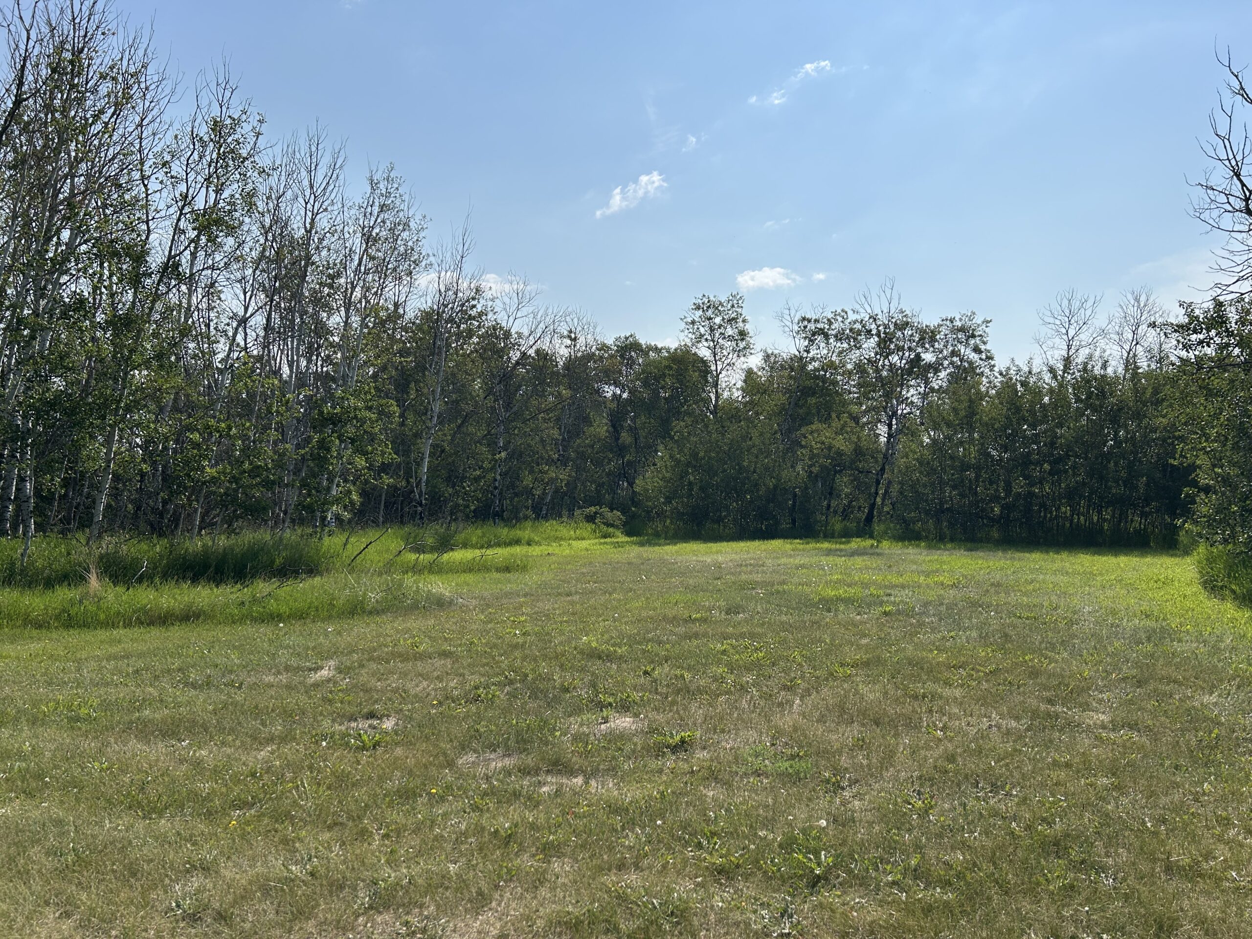 Campground 2